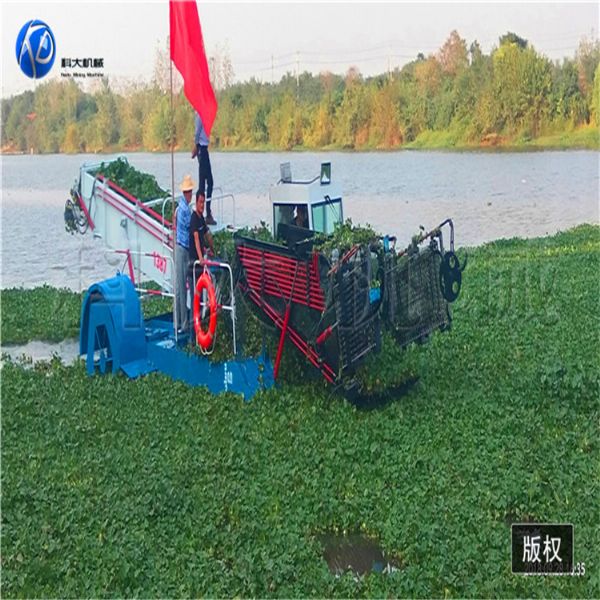 30湖北武漢水葫蘆打撈船 (2).jpg